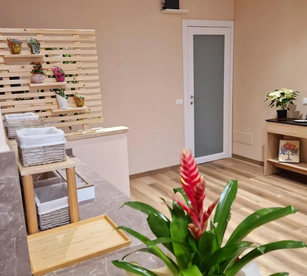 Apartment Bed & Breakfast L'Incanto Intero Appartamento Pisa